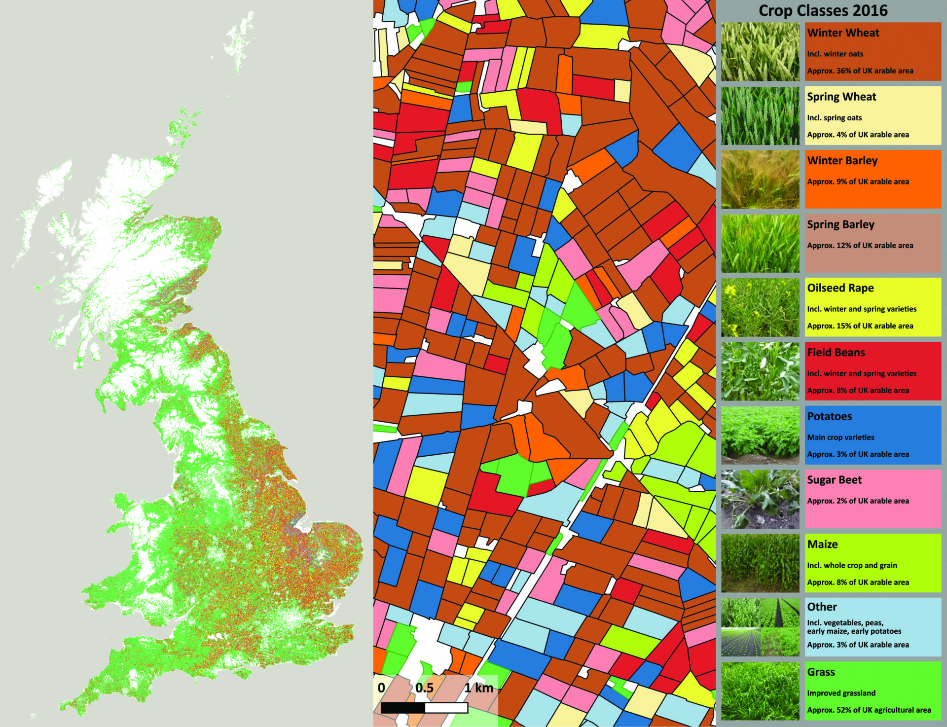 Land Cover® plus Crops (Remote Sensing Applications Consultants